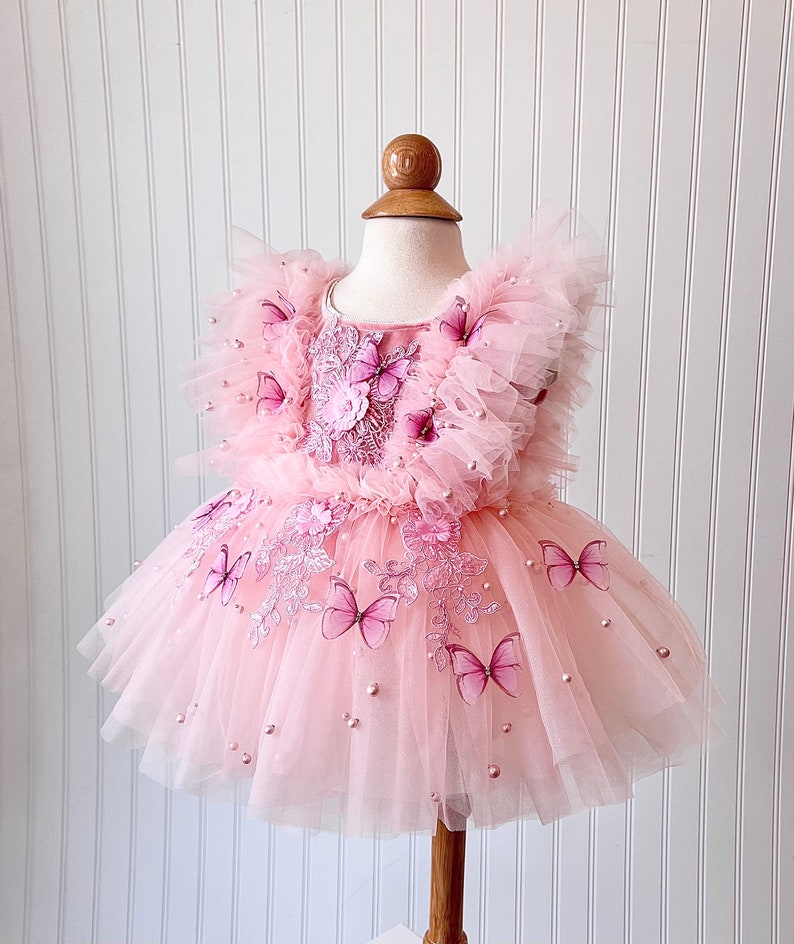 Aubrey Butterfly and Flower Dress, Blush Dress, Baby Dress, First Birthday Dress, Flower Dress, Blush and Pink Dress image 1