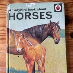 Vintage Marienkäfer Buch - Pferde