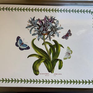 May include: Rectangular placemat featuring a botanical illustration of an Agapanthus Africanus Lily with blue and purple flowers, green leaves, and three butterflies. The placemat has a white background with a green leaf border.