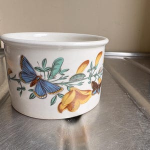 Może przedstawiać: Biała ceramiczna miska z kwiatowym i motylkowym wzorem. Miska ma niebieskiego motyla, żółte kwiaty i zielone liście. Miska jest cylindryczna i ma zaokrągloną krawędź.