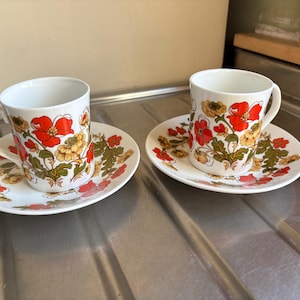 Może przedstawiać: Dwie białe ceramiczne filiżanki do kawy i spodki. Każda filiżanka i spodek ma kwiatowy wzór z czerwonymi, żółtymi i zielonymi kwiatami. Filiżanki mają uchwyt i stoją na powierzchni ze stali nierdzewnej.