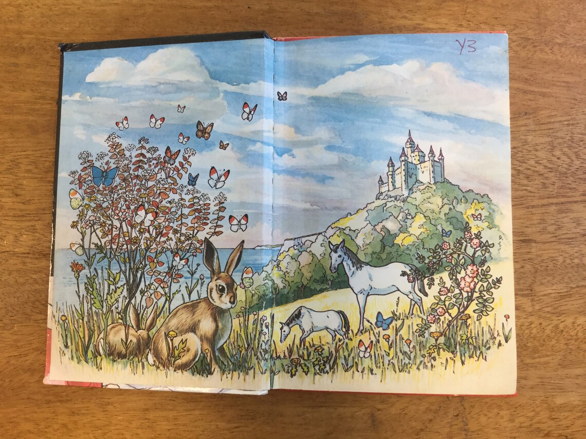 Vintage Ladybird Book - Little Red Riding Hood, - Etsy UK
