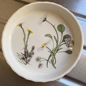 Puede incluir: Un plato de cerámica blanca con borde festoneado, con ilustraciones botánicas de flores silvestres amarillas y blancas con hojas verdes. El plato tiene un borde ligeramente elevado y un acabado liso y brillante. Las flores silvestres están representadas con detalle y realismo.