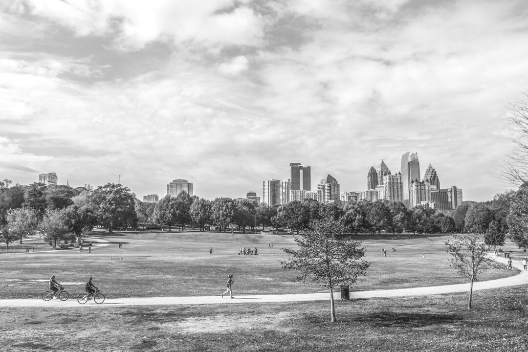 Atlanta Art Photography, Piedmont Park Atlanta Photography Print, Black