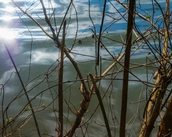 Water Trees Branches Reflections Art Photo Abstract Nature Photography Photograph Peaceful Photo Print Wall Decor Home Office