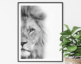 Animal Print, Lion Photography, Safari Nursery Animal Print, Lion Digital Print, African Animal Wall Art, Instant Digital Download