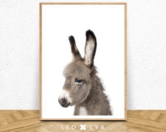 donkey poster etsy