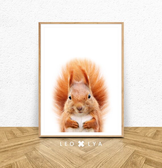 Poster Ecureuil Tableau Chambre Bebe Decoration Enfant Etsy France