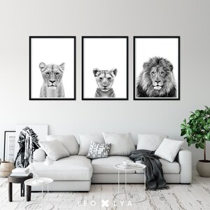 May include: Three black and white framed photographs of lions. The left photo shows a lioness, the middle photo shows a lion cub, and the right photo shows a male lion. The photos are hanging on a white wall above a white couch.