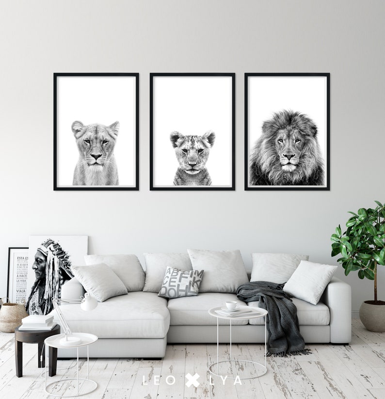 May include: Three black and white framed photographs of lions. The left photo shows a lioness, the middle photo shows a lion cub, and the right photo shows a male lion. The photos are hanging on a white wall above a white couch.