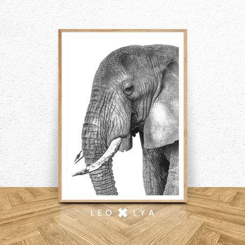 Elephant Print Black and White Printable Wall Art Digital Etsy Canada