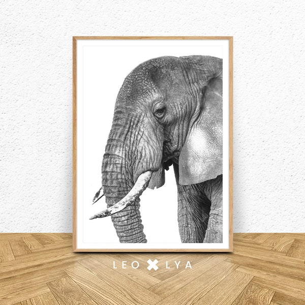 Poster Animal, Photo Elephant, Poster Safari, Impression Numérique Elephant, Décoration Afrique, Animaux Afrique, Photo Nature Noir et Blanc