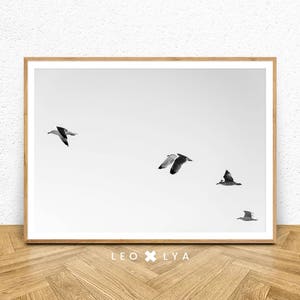 Seagull Print, Minimalist Art Print, Seagull Art, Wall Art, Black and White Print, Minimalist Printable Art, Black and White, Wall Art Print