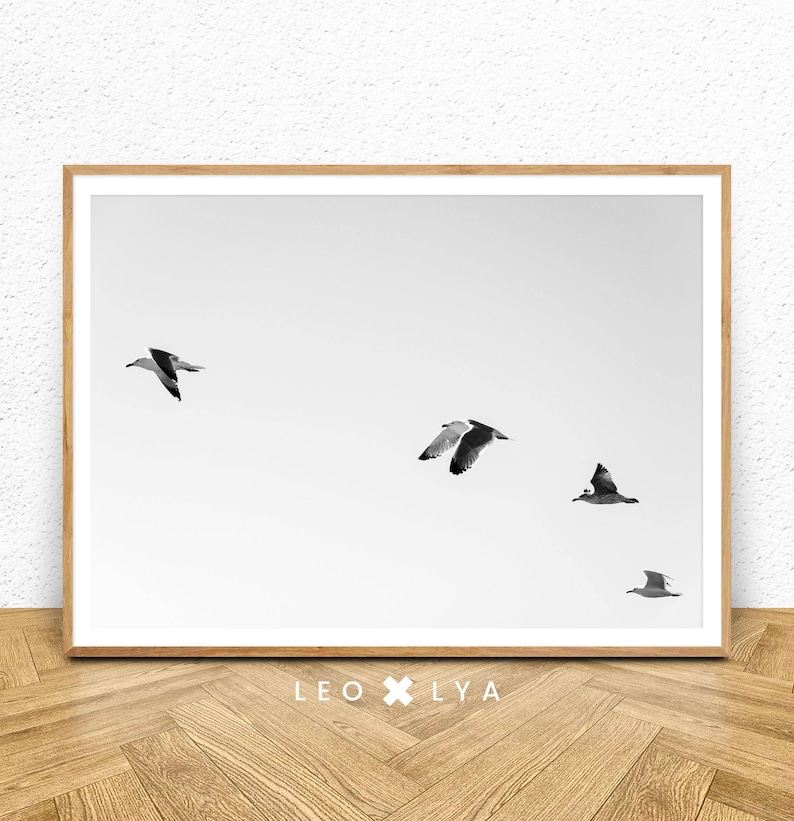 May include: A black and white photograph of four seagulls flying in formation against a white sky. The image is framed in a light wood frame.