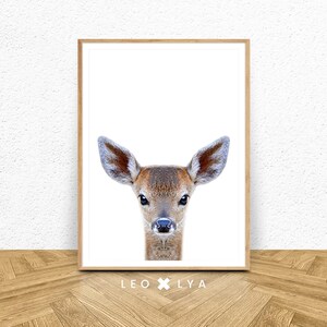 Decoration Animaux Chambre Bebe Photo Raton Laveur Poster Etsy Decoration Animaux Chambre Bebe Photo Raton Laveur Poster Etsy