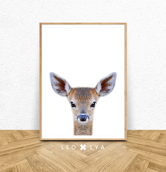 Decoration Chambre Bebe Photo Faon Photo Cerf Poster Etsy Decoration Chambre Bebe Photo Faon Photo Cerf Poster Etsy