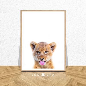 Tierposter, Löwenbaby Foto, Safari Poster, Löwe Digitaldruck, Afrikanische Dekoration, Afrikanische Tiere, Farbfoto Löwenjunges