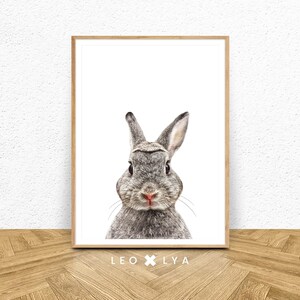Waldtiere, Hasenfoto, Babyzimmer Hase, Kinderdeko, Babyhase, Hasenposter, Kinderzimmerbild, Kinderzimmerdeko, Baby