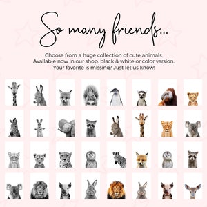 May include: A collection of 36 black and white animal illustrations. The animals include a giraffe, fox, squirrel, penguin, lemur, gorilla, lion, zebra, kangaroo, elephant, raccoon, donkey, owl, cheetah, deer, koala, and lion. The text "So many friends..." is at the top of the image. The text "Choose from a huge collection of cute animals. Available now in our shop, black & white or color version. Your favorite is missing? Just let us know!" is below the images.
