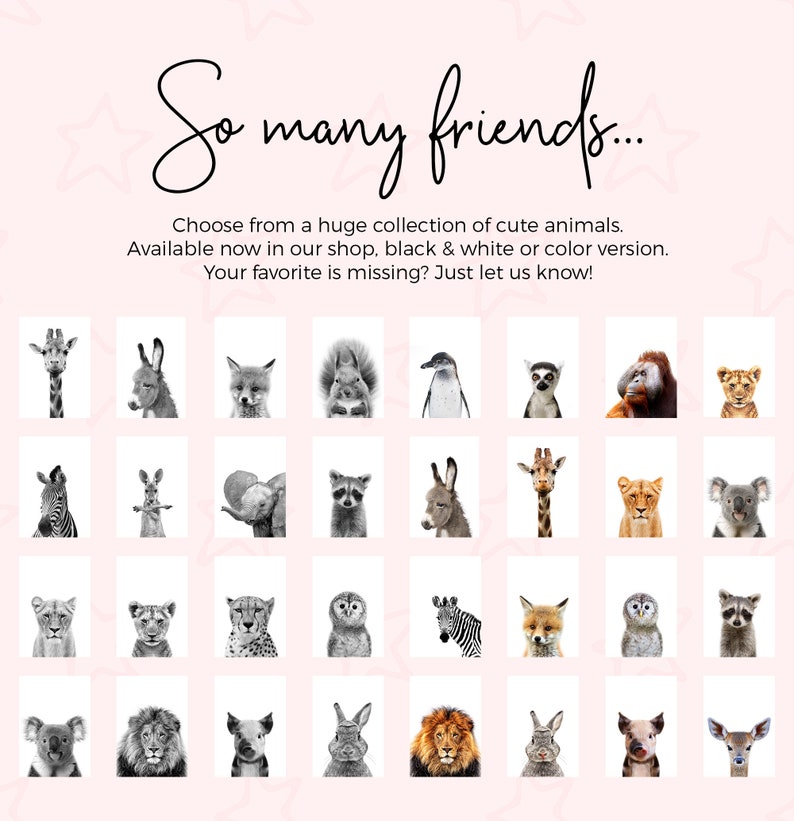 May include: A collection of 36 black and white animal illustrations. The animals include a giraffe, fox, squirrel, penguin, lemur, gorilla, lion, zebra, kangaroo, elephant, raccoon, donkey, owl, cheetah, deer, koala, and lion. The text "So many friends..." is at the top of the image. The text "Choose from a huge collection of cute animals. Available now in our shop, black & white or color version. Your favorite is missing? Just let us know!" is below the images.