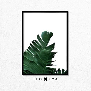 Puede incluir: Una impresi&oacute;n enmarcada de una hoja tropical verde sobre un fondo blanco. La impresi&oacute;n tiene el texto "LEO x LY A" en la parte inferior.