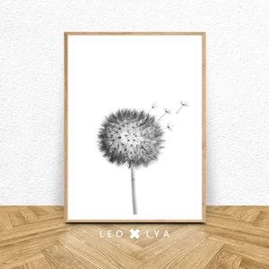Dandelion Print, Bohemian Wall Art, Black Dandelion, Modern Minimal, Flower Wall Decor, Printable Art, Black And White Flower, Wall Prints