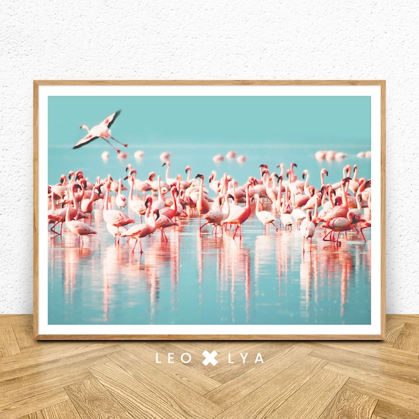 Grand poster bleu et rose, photo flamants roses, art moderne, tableau couleur, affiche oiseau, impression oiseau, bleu turquoise, nature