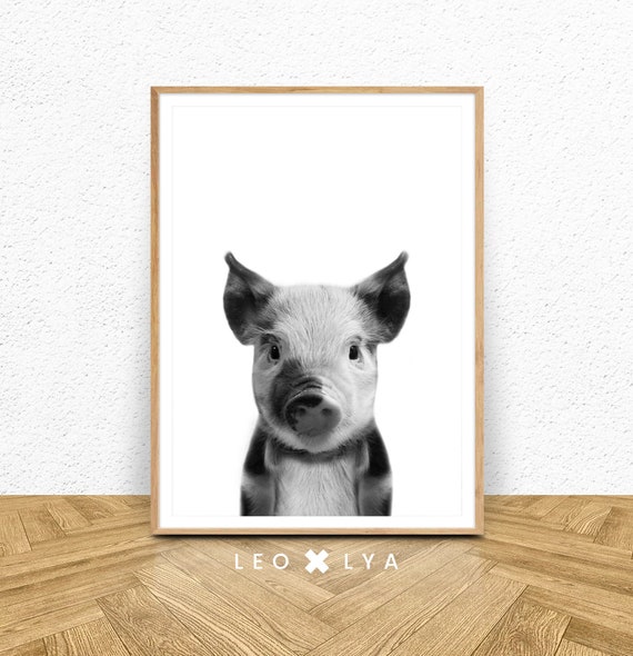 Decoration Chambre Bebe Photo Cochon Photo Porcelet Poster Etsy