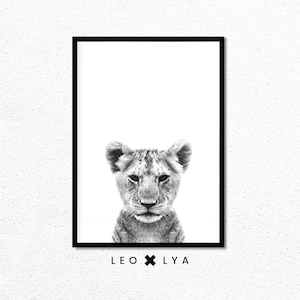 May include: Black and white photograph of a lion cub with the text "LEO x LY A" below the image.