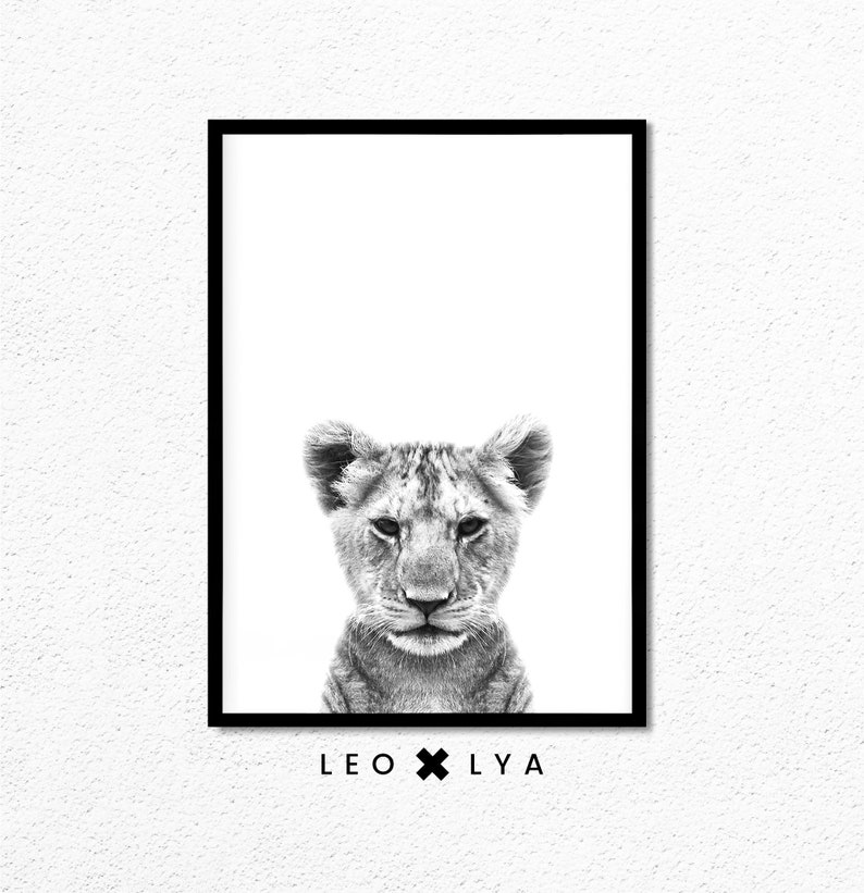 May include: Black and white photograph of a lion cub with the text "LEO x LY A" below the image.