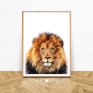 Lion Wall Art, Printable Safari Lion Photo, Large Poster Safari, Nursery Prints, Safari Nursery, Lion Art, Digital Download, Lion Print