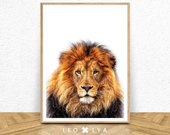 Lion Wall Art, Printable Safari Lion Photo, Large Poster Safari, Nursery Prints, Safari Nursery, Lion Art, Digital Download, Lion Print