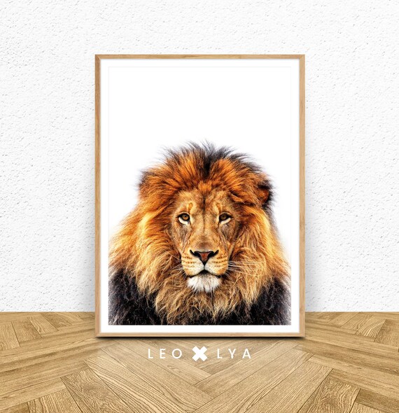 Poster Lion, Photo Lion, Poster Safari, Animal Afrique, Impression Numérique Lion, Déco Chambre Enfant, Tableaux Animaux Safari, Image Lion