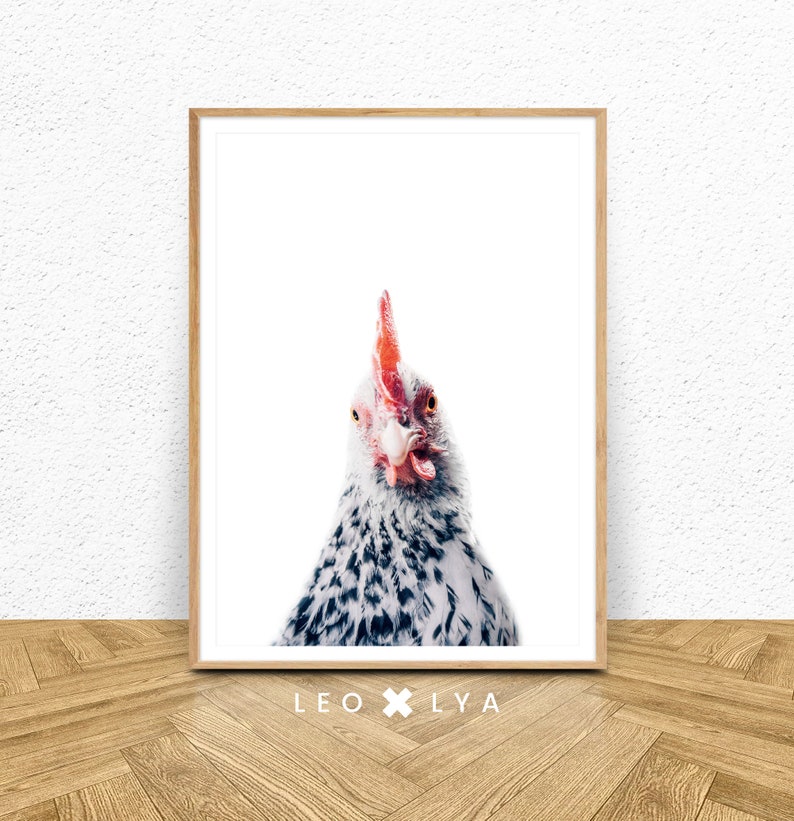 May include: A close-up portrait of a white and black speckled chicken with a red comb and wattle. The chicken is looking directly at the camera with a curious expression. The background is white.