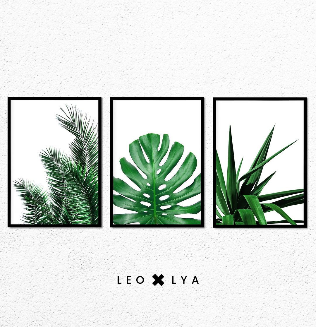 Set of 3 Tropical Leaf, Print Set, Monstera Leaf, Palm Banana, Yucca ...