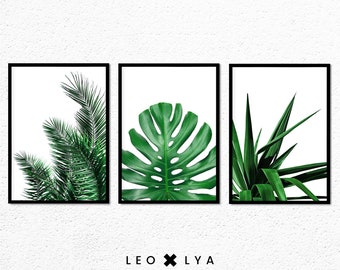 May include: Three framed prints of tropical leaves. The prints are in black frames and feature a palm leaf, a monstera leaf, and a yucca leaf.