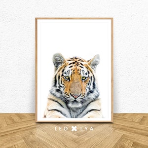 Tiger Wall Art, Printable Safari Tiger Photo, Large Poster Safari, Nursery Prints, Safari Nursery, Tiger Art, Digital Download, Tiger Print