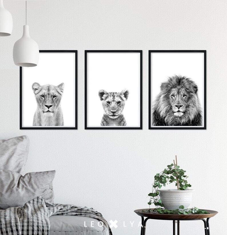 May include: Three black and white framed prints of lion faces. The left print shows a female lion, the middle print shows a lion cub, and the right print shows a male lion.