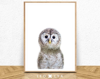 Nursery animal print, printable art, baby owl, nursery decor, animal art, baby animals, nursery wall art, owl wall art, kids art, baby