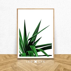 Plant Print Art, Green Leaves Print, Leaf Print, Printable Tropical Leaf, Botanical Art, Plant Wall Art, Tropical Leaf Art Print