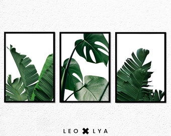 Foto de plantas tropicales, conjunto de 3 fotos, hojas verdes, decoración tropical moderna, pintura de la naturaleza, banano y monstera