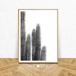 Printable Cactus, Black and White Plant, Printable Wall Art,  Modern Minimalist Nature Photography, Large Print Decor, Botanical Wall Art