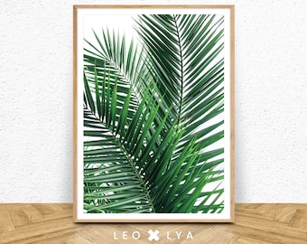 Plantenfoto, groene plant, bananenposter, tropische poster, tropisch blad, groene bladeren, plantenposter, tropische wanddecoratie