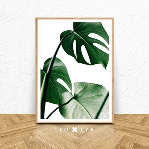 Botanical Print, Monstera Leaf Print, Tropical Print, Monstera Plant Print, Tropical Leaf Art, Monstera Deliciosa, Botanical Wall Art