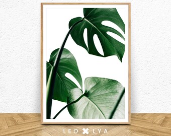 Botanical Print, Monstera Leaf Print, Tropical Print, Monstera Plant Print, Tropical Leaf Art, Monstera Deliciosa, Botanical Wall Art