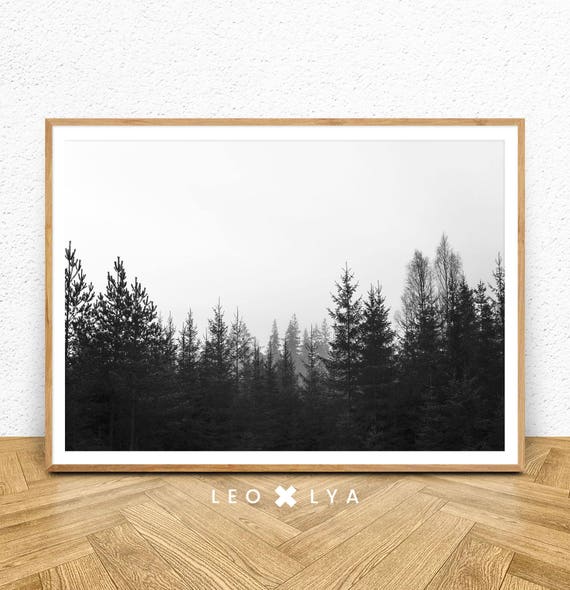Photographie de forêt, impression nature, paysage noir et blanc, décoration de nature, photo paysage, déco moderne, téléchargement
