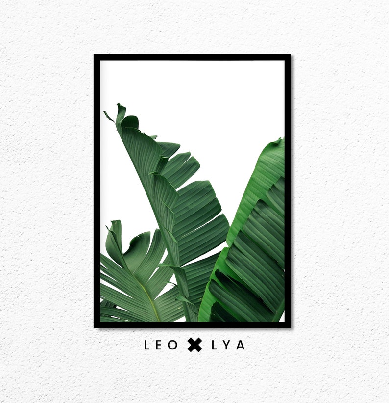 Banana Leaves Prints, Set of 3 Prints, Botanical Print Set, Tropical Wall Art Decor, Leaf Printable Art, Plant Photography, Green Leaves image 2