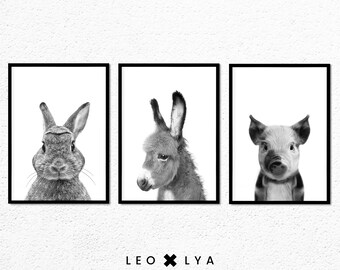 Cute Farm Animal Photo, Baby Piglet Wall Art, Black and White Nursery Decor, Printable Art, Nursery Bunny Rabbit Print, Baby Forest Animals
