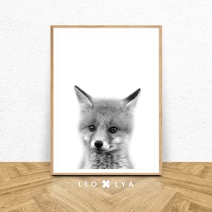 Poster Chambre Enfant Bebe Renard Photo Renardeau Etsy Poster Chambre Enfant Bebe Renard Photo Renardeau Etsy
