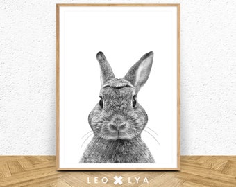 Black And White Rabbit Print, woodlands animals, bunny print, rabbit photo, animal photography, nursery decor, nursery prints, wall art